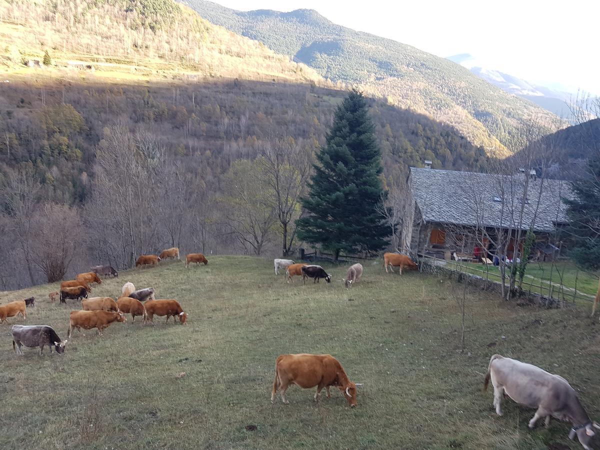 Hotel Rural L'Ortiga Blanca Queralbs Exteriér fotografie